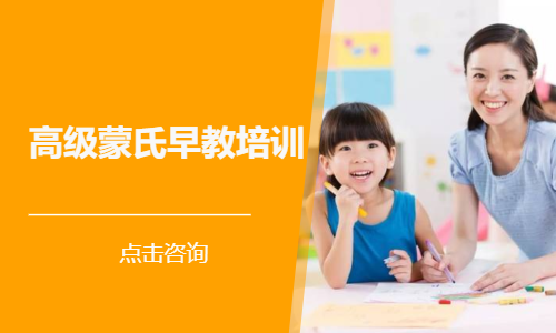 高级蒙氏早教培训