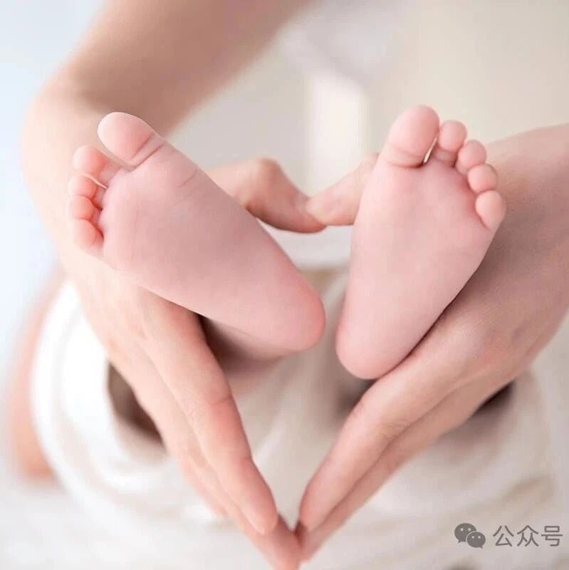 【懒猫嘉年华&middot;你的声音我们倾听】