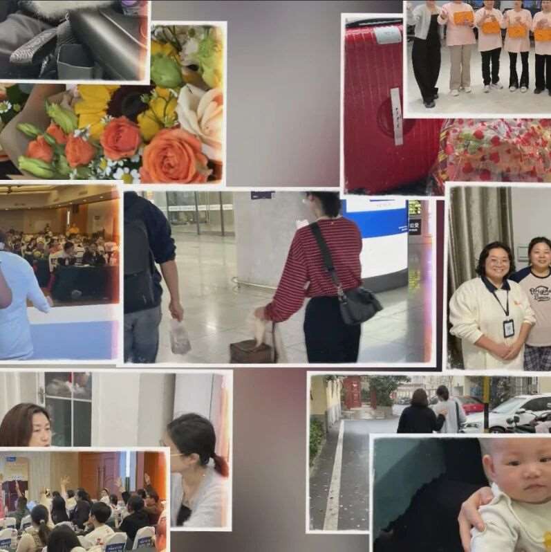 2024懒猫嘉年华月：月嫂回访温暖之旅